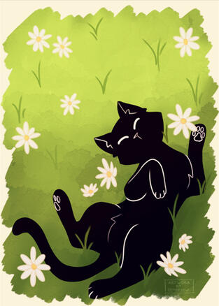 KITTY!!!! - 2024